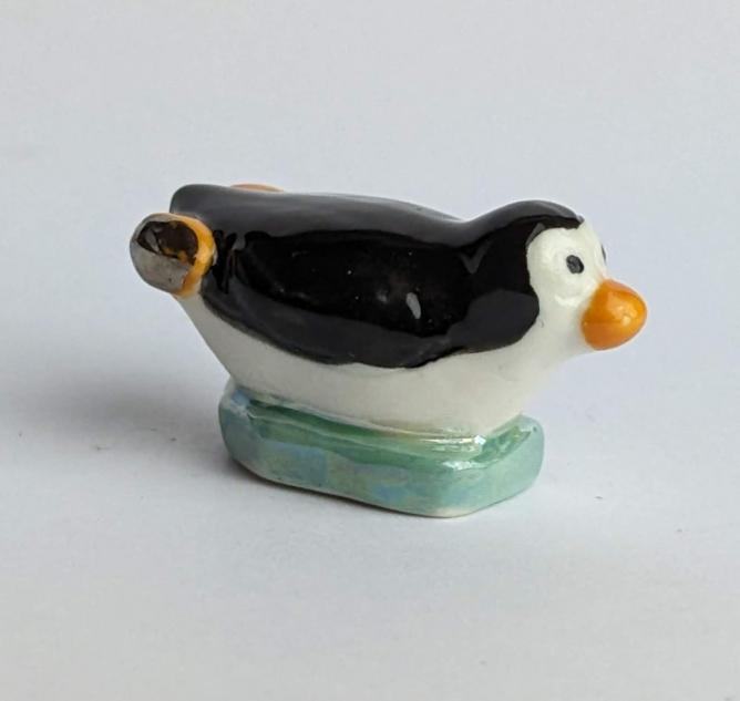 Penguin on the way home 
