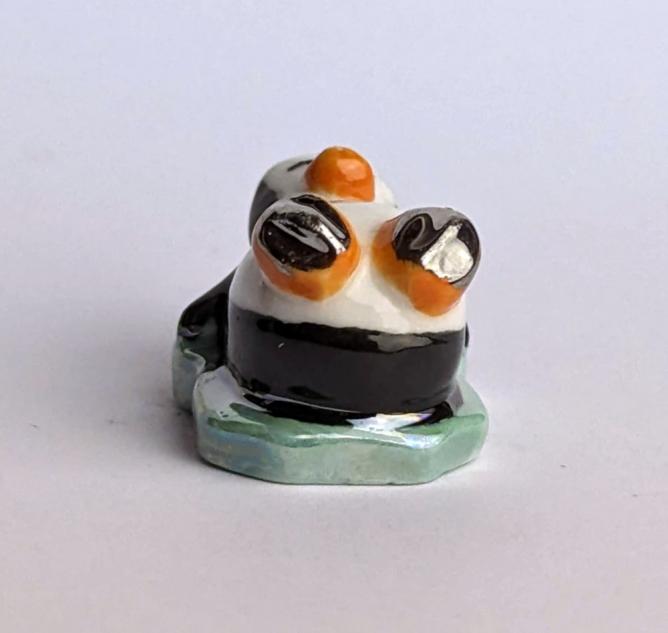 sleeping penguin 